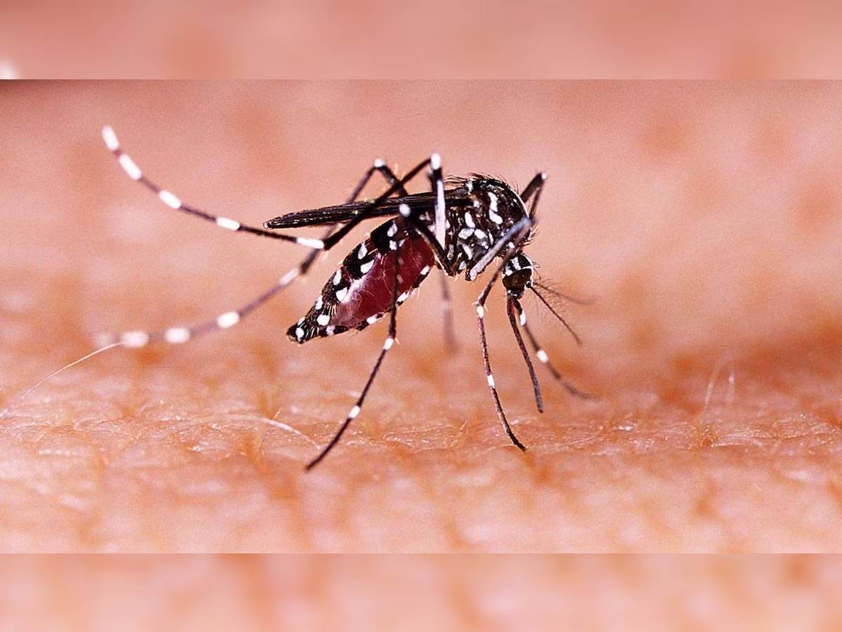 First Case Of Zika Virus in Mumbai