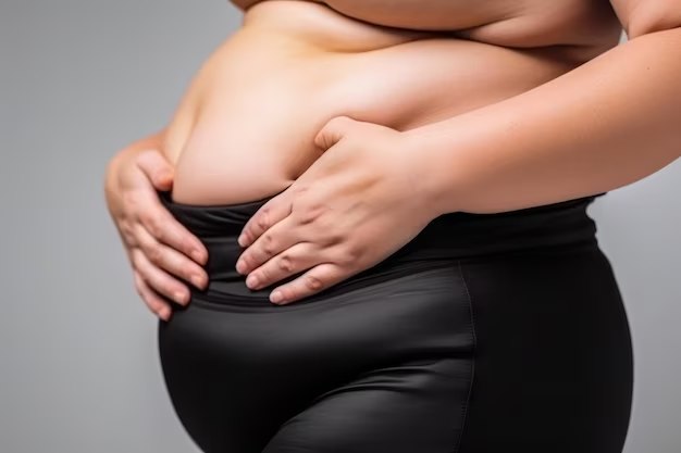 Understanding The Different Types Of Belly 