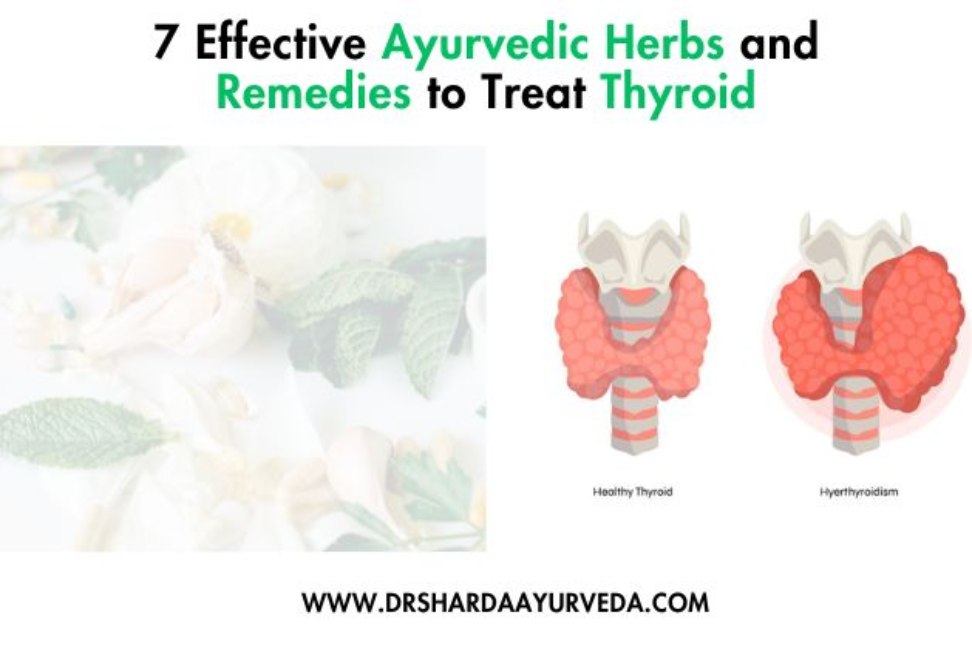 Effective Ayurvedic Herbs and Remedies to Treat Thyroid