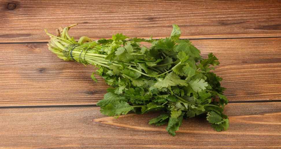 How Cilantro is Good for Your Health?